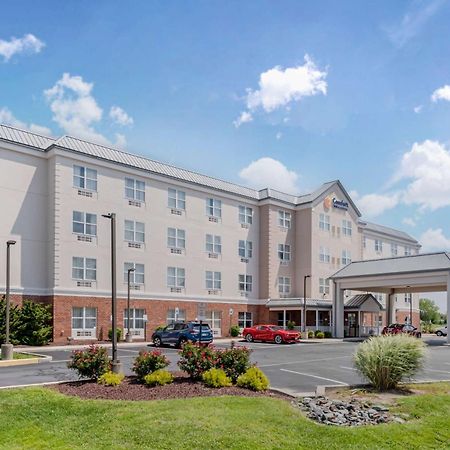 Comfort Inn & Suites Dover Buitenkant foto